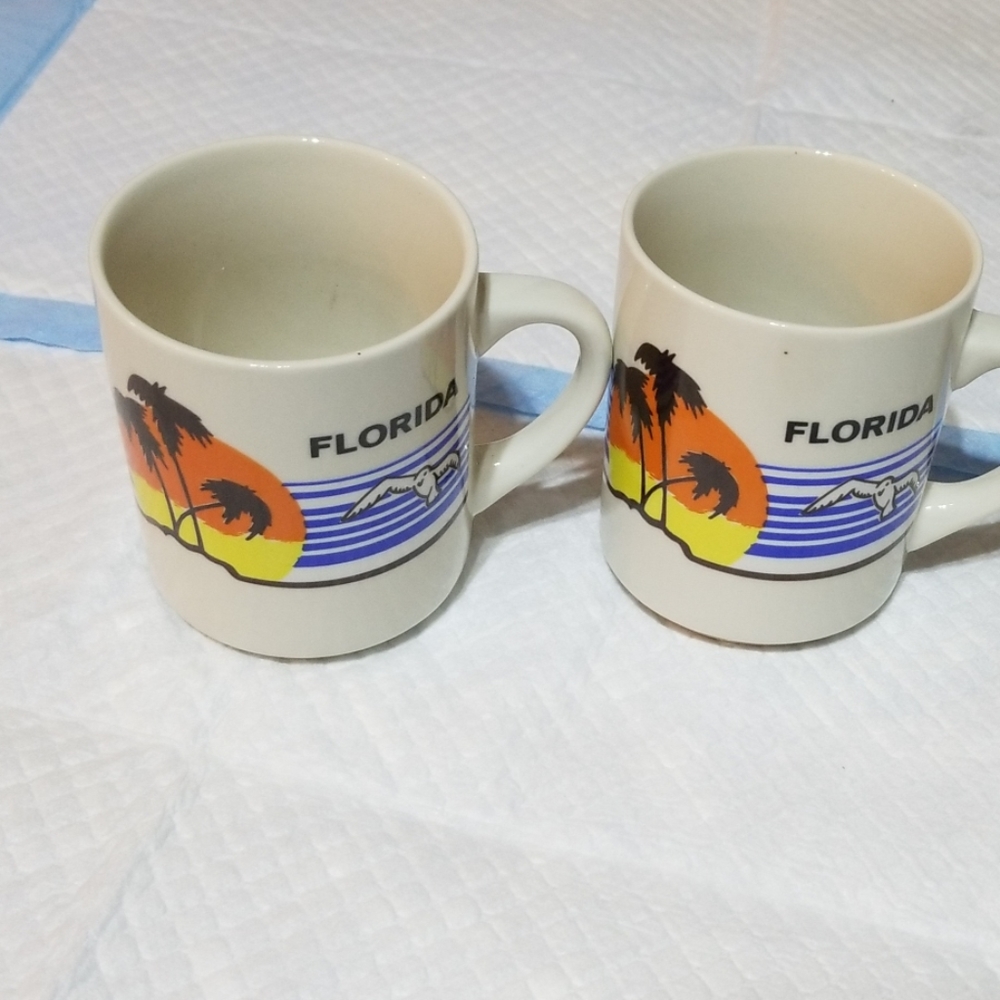 Florida cups